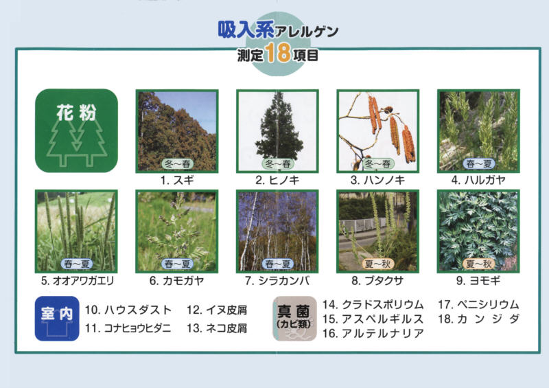 花粉症などのアレルギー症状でお悩みではありませんか？